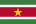 Flagge von Suriname